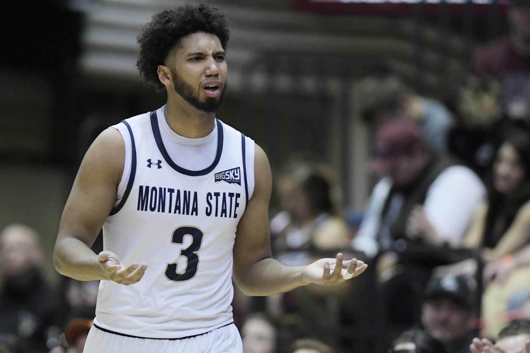 Griz v Cats-10-tm.jpg